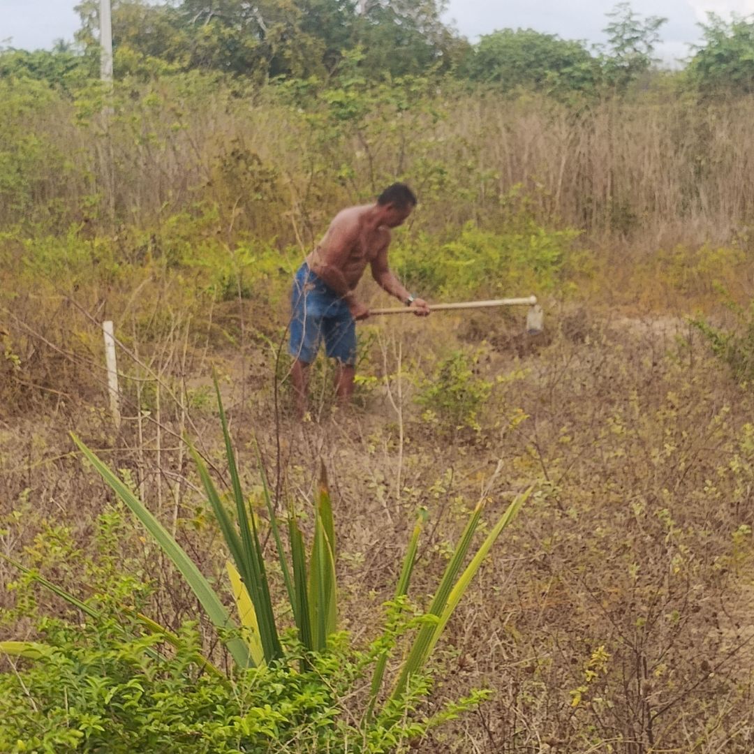 Trabalho de Antônio Wellington Bezerra Da Silva