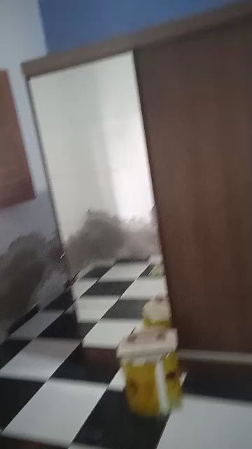 Trabalho de Alexsandro Castelo Branco Sampaio Filho 