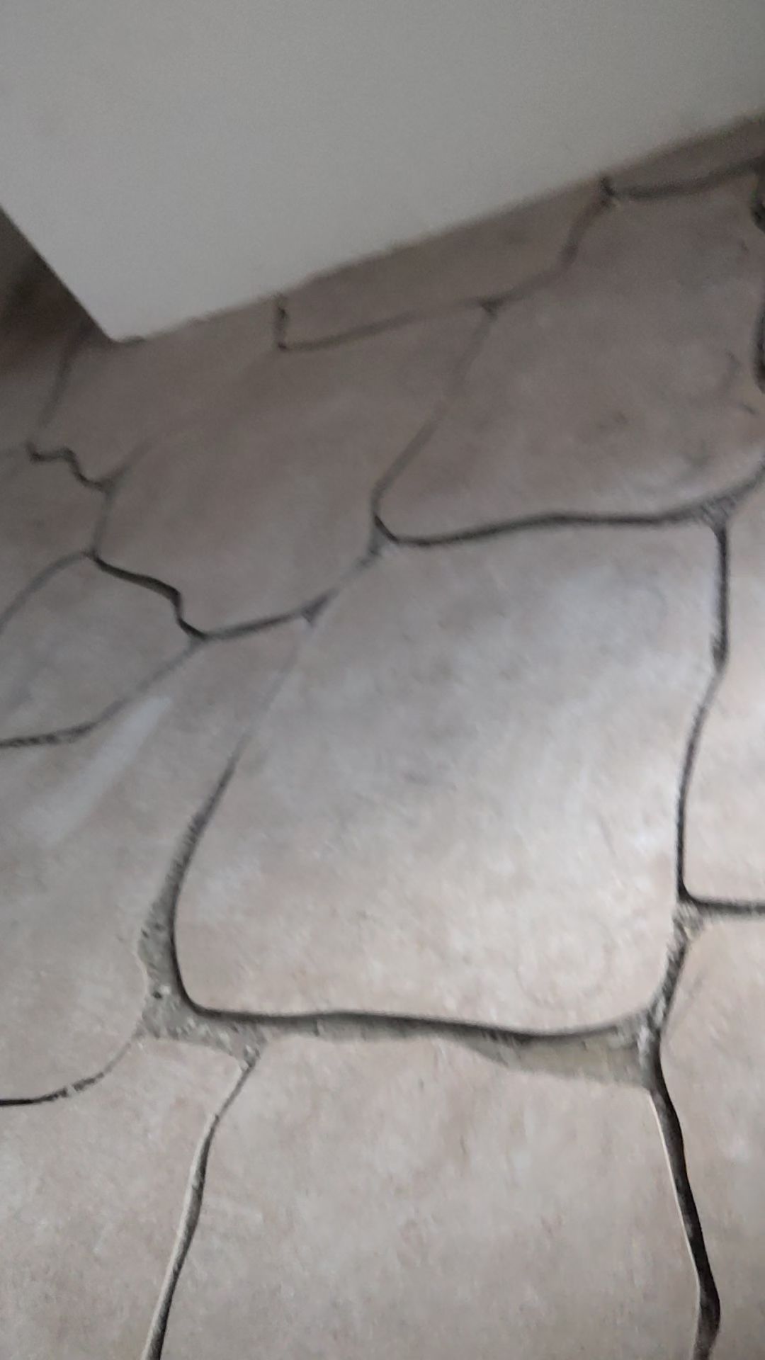 Trabalho de Edivando Braga Ferreira
